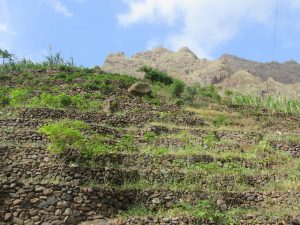 Randonnée du sentier côtier de Cruzinha à Ponta do Sol