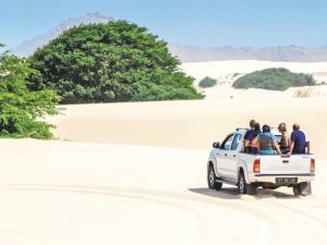 Tour de l'Île - journée complète