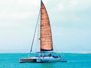 Croisière en catamaran avec snorkeling et apéritifs