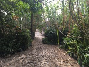 Randonnée village de Picos